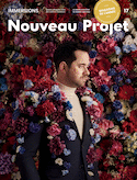 Nouveau Projet, no 17